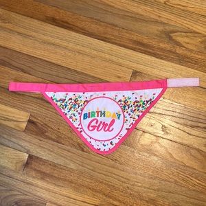 Birthday Girl Dogs Velcro Bandana - reversible- Large